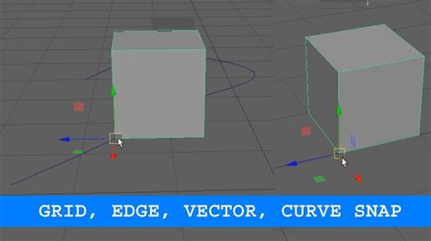 PIVOT & VERTEX SNAP .